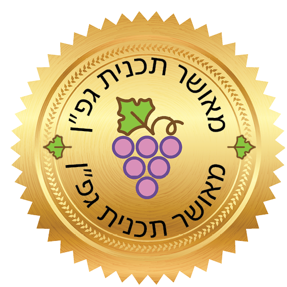 תכנית גפ"ן